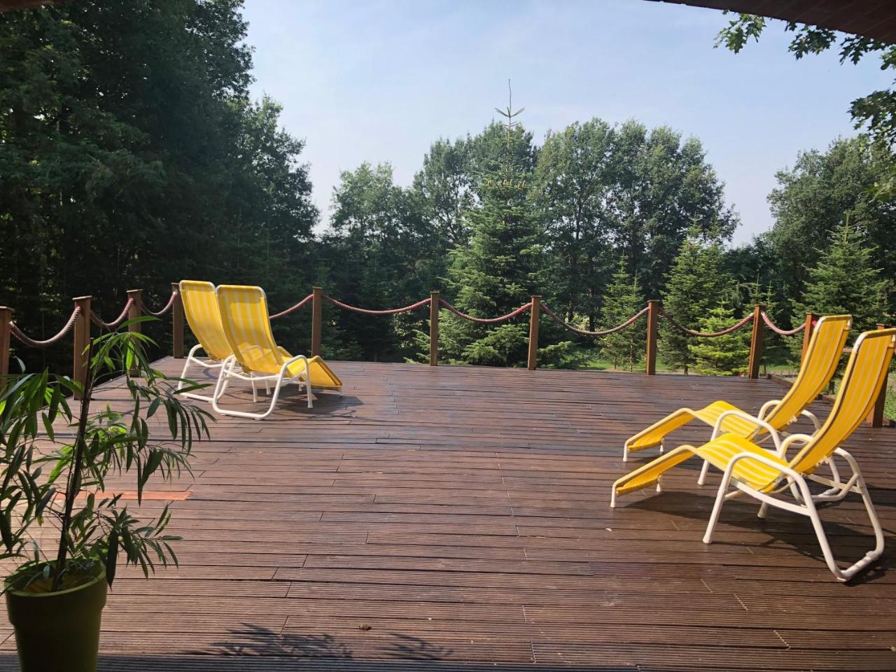 Hotel Niedersaechsischer Hof 巴特本特海姆 外观 照片